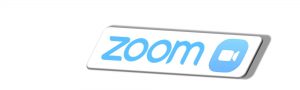 Zoom Logo